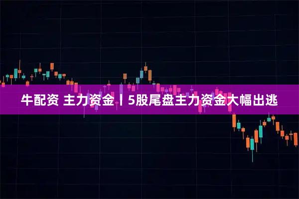 牛配资 主力资金丨5股尾盘主力资金大幅出逃