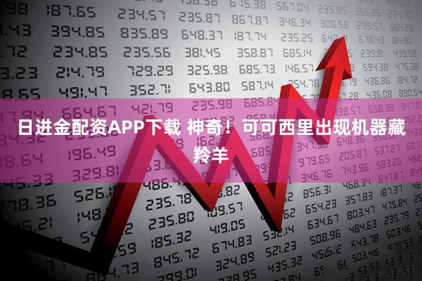 日进金配资APP下载 神奇！可可西里出现机器藏羚羊