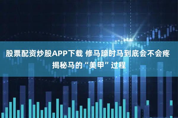 股票配资炒股APP下载 修马蹄时马到底会不会疼 揭秘马的“美甲”过程