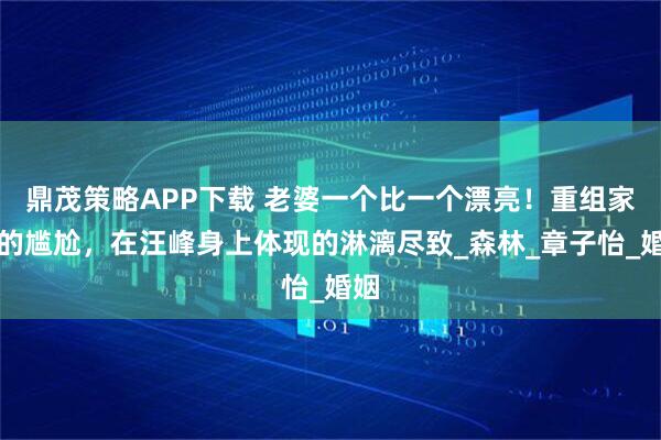 鼎茂策略APP下载 老婆一个比一个漂亮！重组家庭的尴尬，在汪峰身上体现的淋漓尽致_森林_章子怡_婚姻